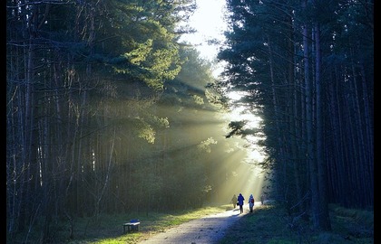 Achtsam Stark Naturtreffen